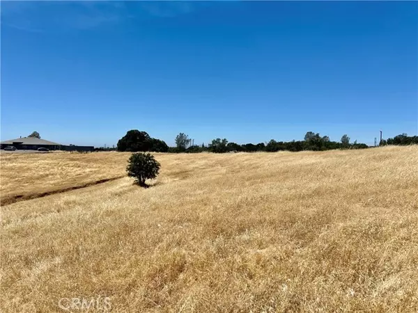 Oroville, CA 95966,0 Daly Avenue