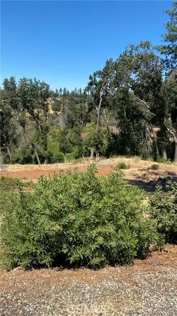 Paradise, CA 95969,2190 De Mille Road