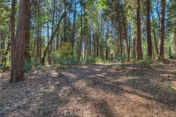 Magalia, CA 95954,0 Fern Glenn Way