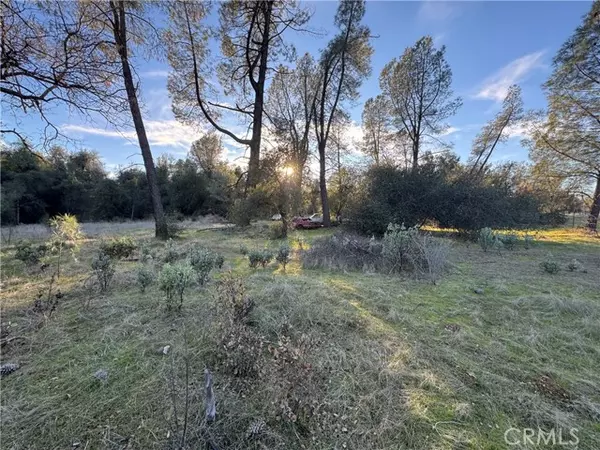 Anderson, CA 96007,4733 Bonnett Trail