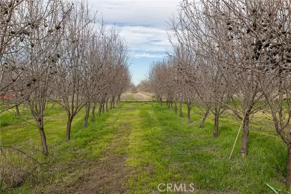 Corning, CA 96021,6330 Piedmont Road