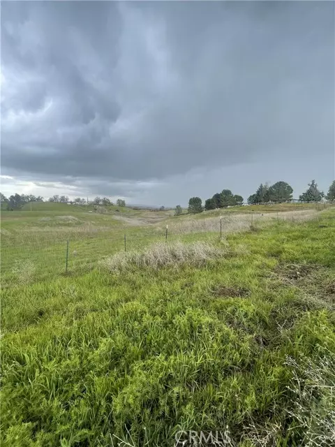 Corning, CA 96021,17164 Wagon Wheel Drive