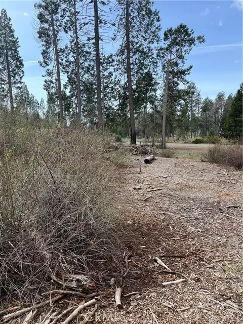 Magalia, CA 95954,13924 Chestnut Circle