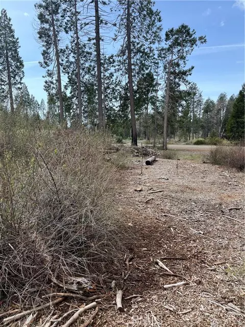 Magalia, CA 95954,13924 Chestnut Circle