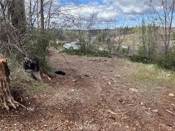 Magalia, CA 95954,13820 Sugar Pine Drive