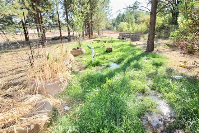 Oregon House, CA 95962,9398 Yuba Ranch