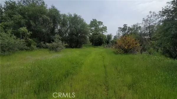 Shingletown, CA 96088,27048 Lack Creek Drive