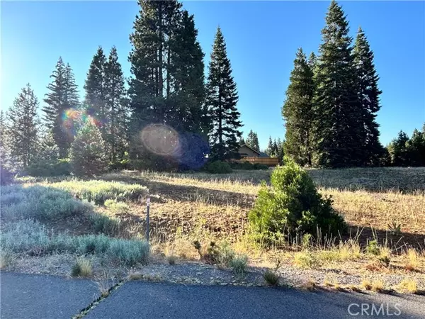 Lake Almanor Peninsula, CA 96137,179 Treetop Circle