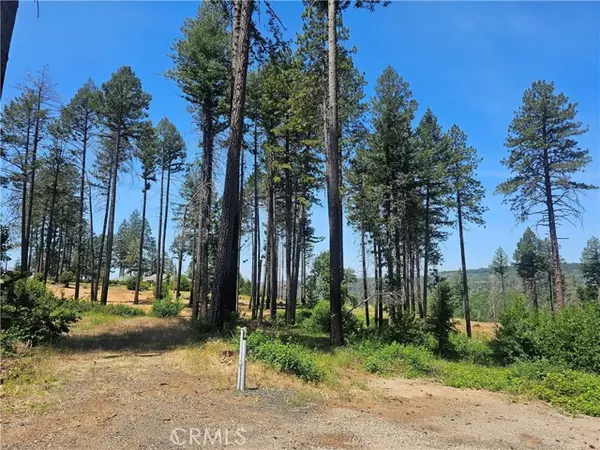 Paradise, CA 95969,6649 Lincoln Drive