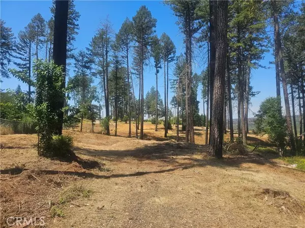 Paradise, CA 95969,6649 Lincoln Drive