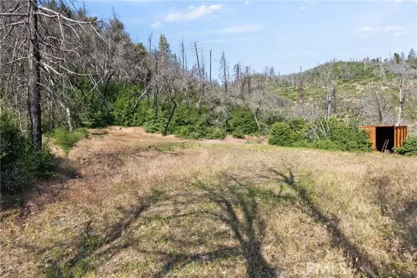 0 Eagle Peak Lookout Rd, Paskenta, CA 96074