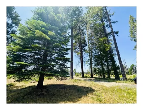 Magalia, CA 95954,6394 Calvin Drive