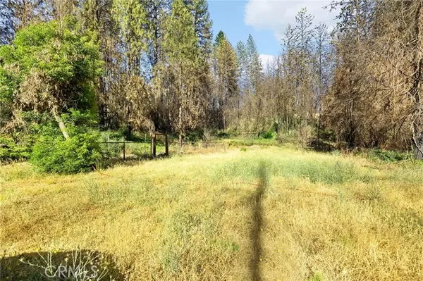 Cohasset, CA 95973,9640 Cohasset Road