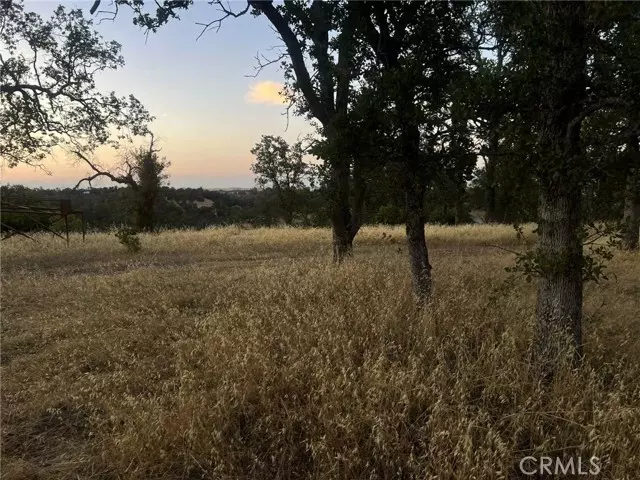 Corning, CA 96021,6915 Remunda Road