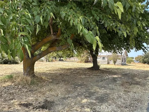 Willows, CA 95988,123 Vine Street