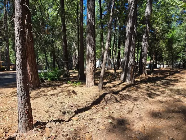 Magalia, CA 95954,0 Tikker Ln