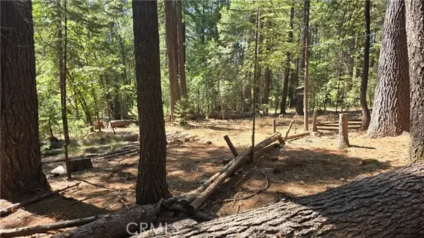 Magalia, CA 95954,6251 Steiffer