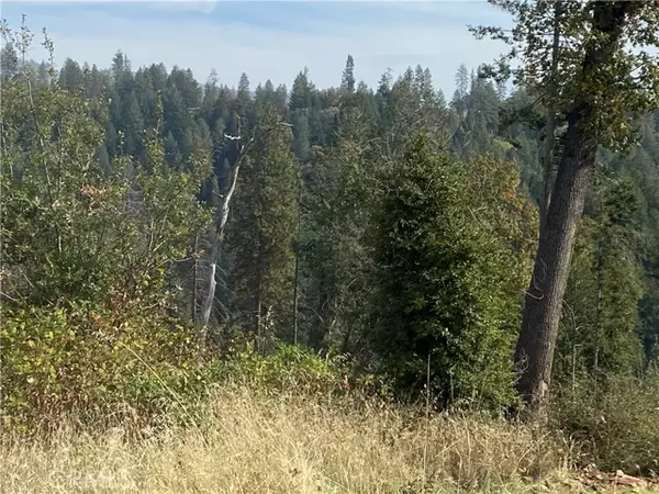 Magalia, CA 95954,13690 Andover