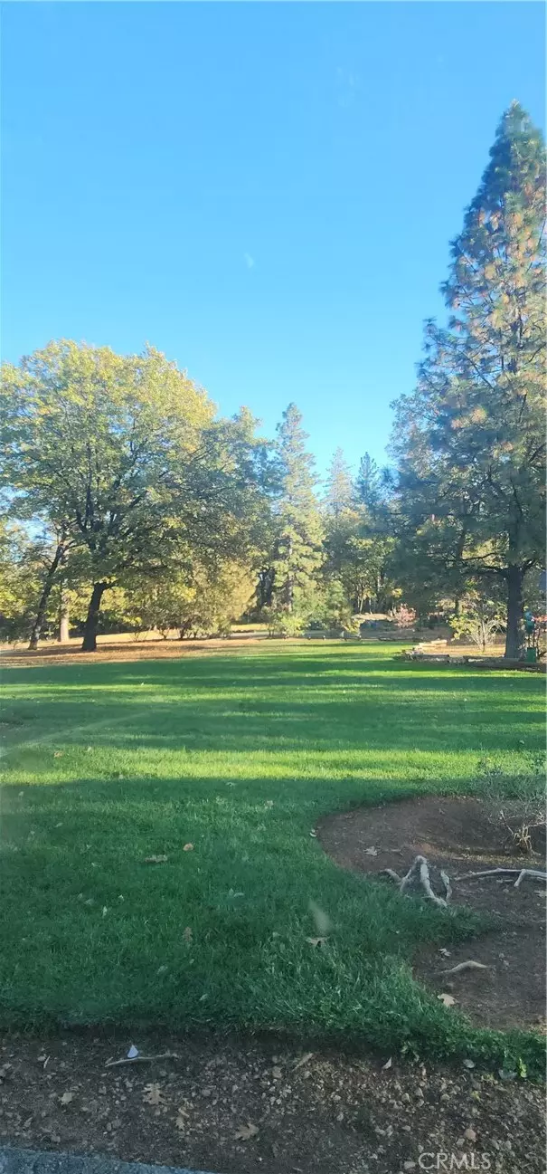 Forest Ranch, CA 95942,14900 Woodland Park