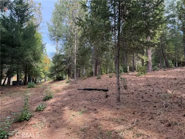 Brownsville, CA 95919,8890 La Porte Road