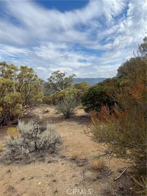 Mountain Center, CA 92561,2 Goldshot Creek Road