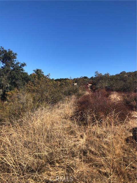Hemet, CA 92544,3 Red Mountaain Road