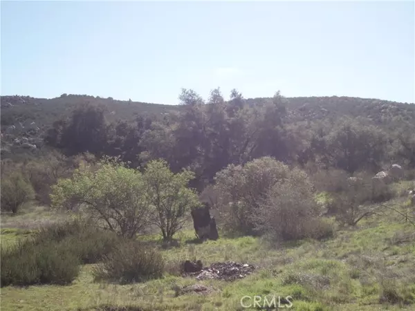 Hemet, CA 92544,53 Willow Canyon Road