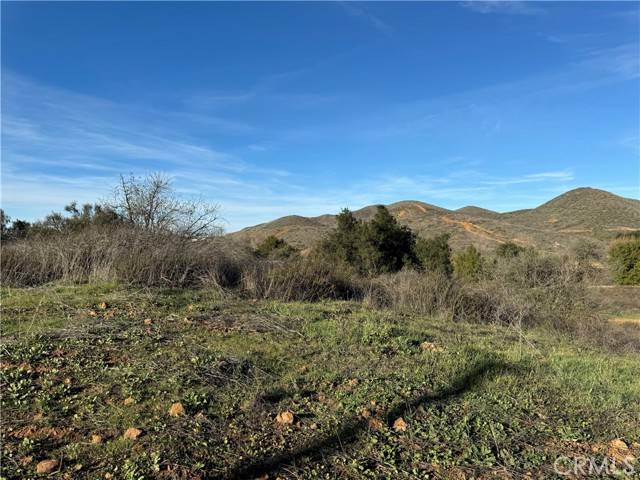 Menifee, CA 92584,15 Orange