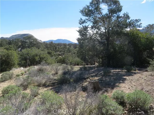 155 Lot #155 Buckthorn, Mountain Center, CA 92561