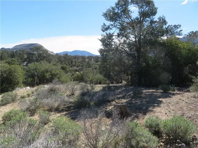 Mountain Center, CA 92561,155 Lot #155 Buckthorn