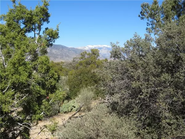 Mountain Center, CA 92561,155 Lot #155 Buckthorn