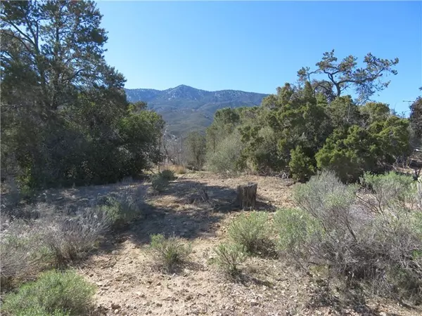 Mountain Center, CA 92561,155 Lot #155 Buckthorn