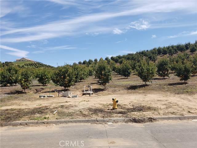 Temecula, CA 92590,7 Calle Jardin