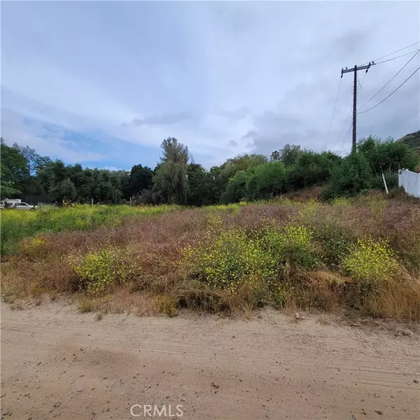 Wildomar, CA 92532,100 Acacia