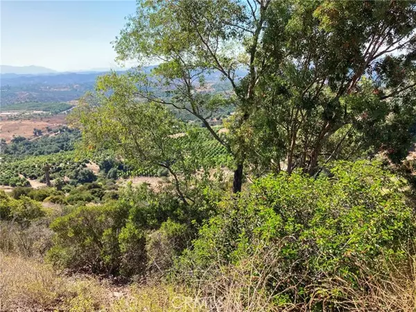 Temecula, CA 92590,37 El Calamar Road