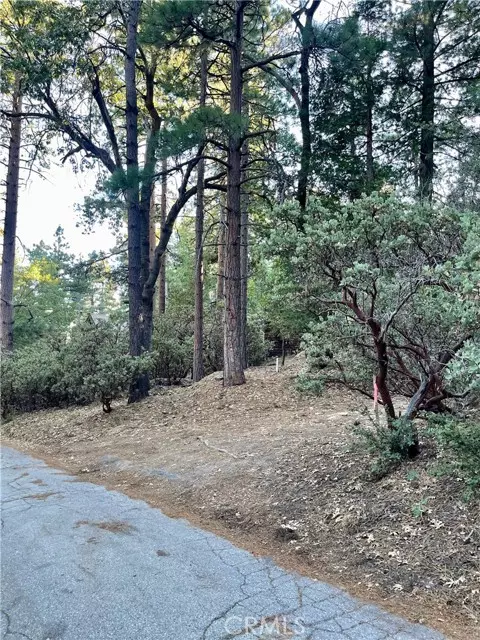 Idyllwild, CA 92549,0 Overlook