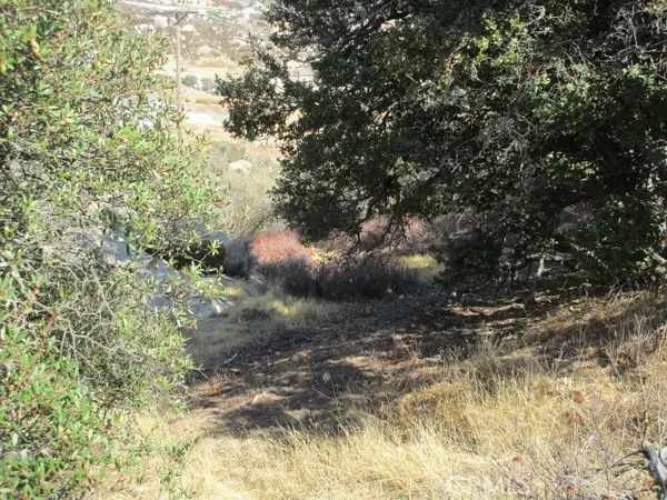 Aguanga, CA 92536,923 Wildlife Trail