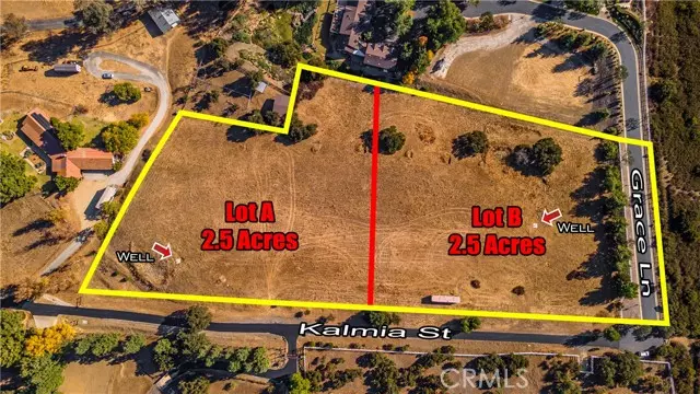 Murrieta, CA 92562,0 Kalmia