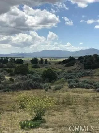 Anza, CA 92539,56965 Ca-371