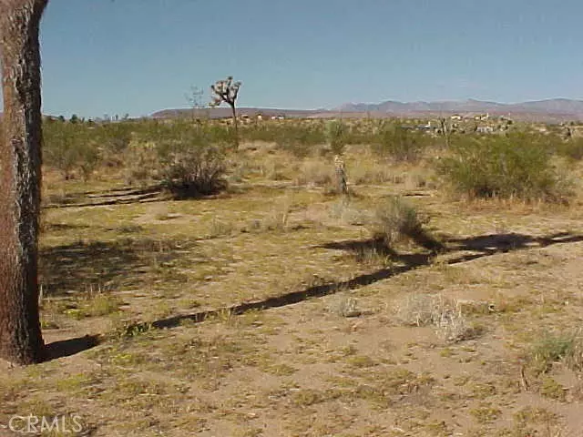 Landers, CA 92285,528 Landers Lane