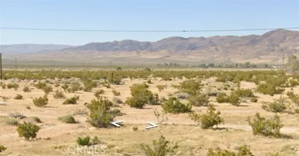 Yermo, CA 92398,0 Ghost Town Road