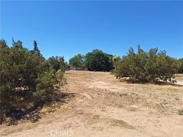 Hesperia, CA 92345,0 Cajon Street