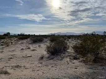Lucerne Valley, CA 92356,0 Rose