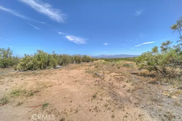 Aguanga, CA 92536,51225 Nectar Road