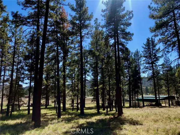 Mountain Center, CA 92561,0 Butterfly Peak Rd.
