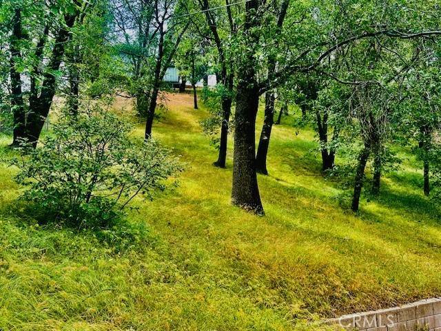 Crestline, CA 92325,470 Dunant Drive
