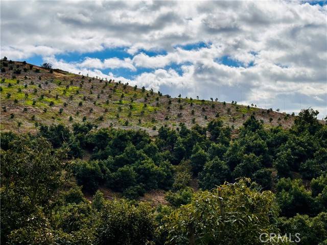 39725 Jones Road, Fallbrook, CA 92028