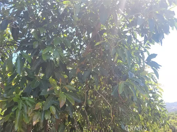 Temecula, CA 92590,0 Los Gatos