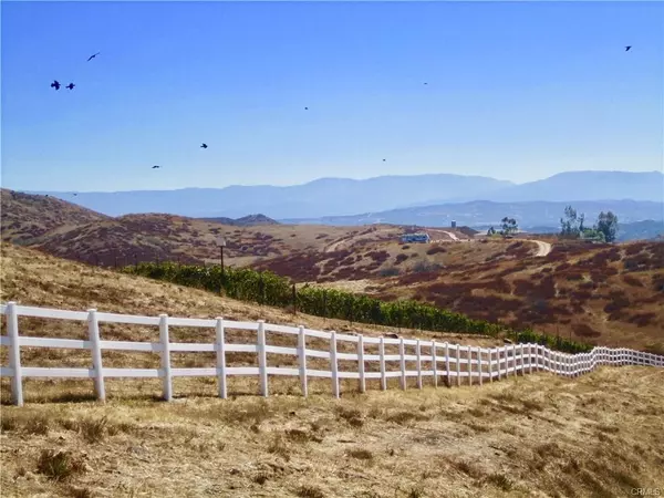 Temecula, CA 92592,0 Buckskin/Stag