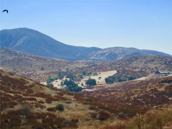 Temecula, CA 92592,0 Buckskin/Stag